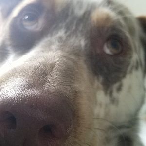 Meet your Posher, Dylan